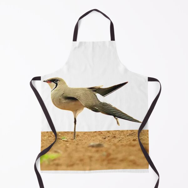 Item preview, Swallow plover (héng) pratincole, also known as swallow plover. Glareolidae (Glareolidae) designed and sold by zenger2021.