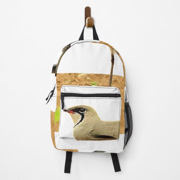 Item preview, Swallow plover (héng) pratincole, also known as swallow plover. Glareolidae (Glareolidae)  designed and sold by zenger2021.