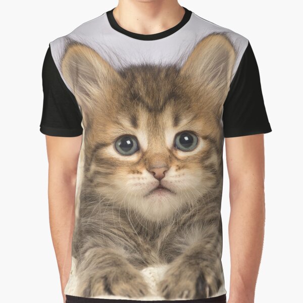 Item preview, Cute Siberian kitten lying down designed and sold by ArdeaOnline.