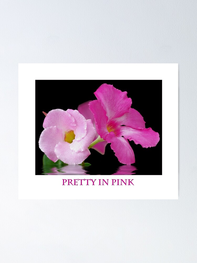 Thumbnail 1 of 3, Poster, Pretty In Pink designed and sold by TGrowden.