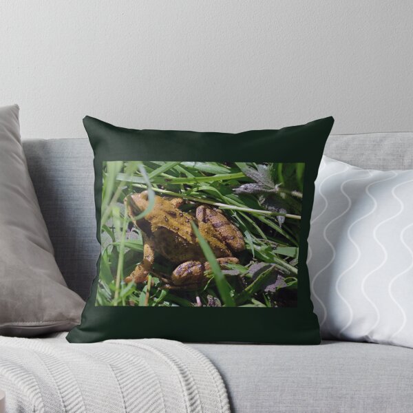 Item preview, Frog or Toad....................................... designed and sold by lynn carter.