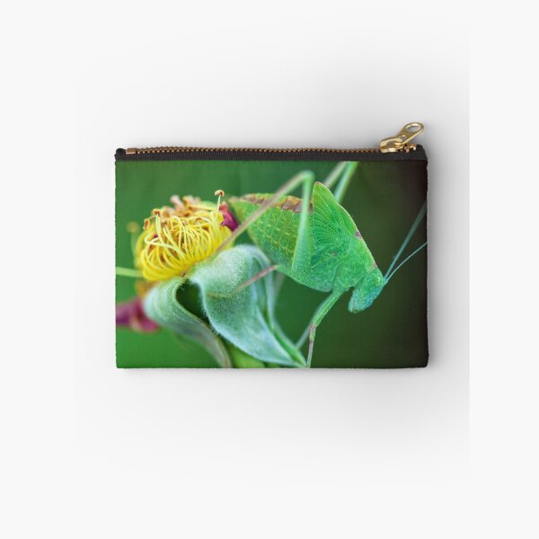 Item preview, Young Bush-Cricket 2 designed and sold by jvnimages.