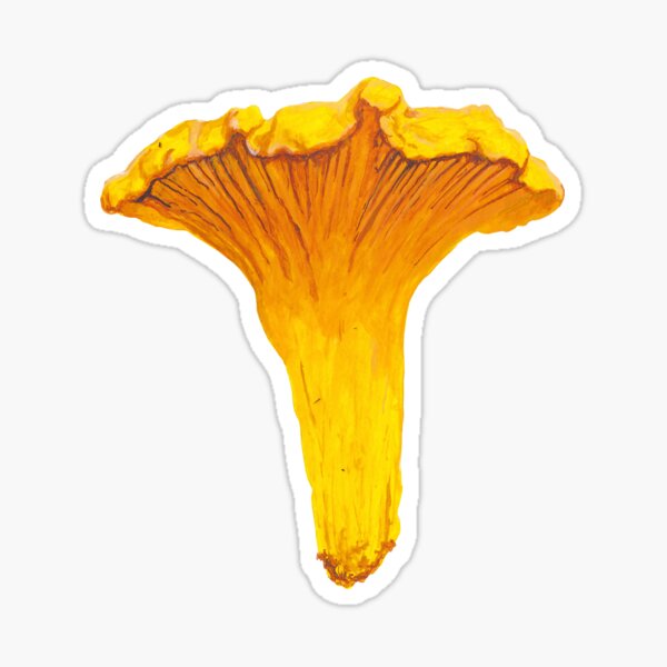 Item preview, plain ol' chanterelle designed and sold by LUUL.