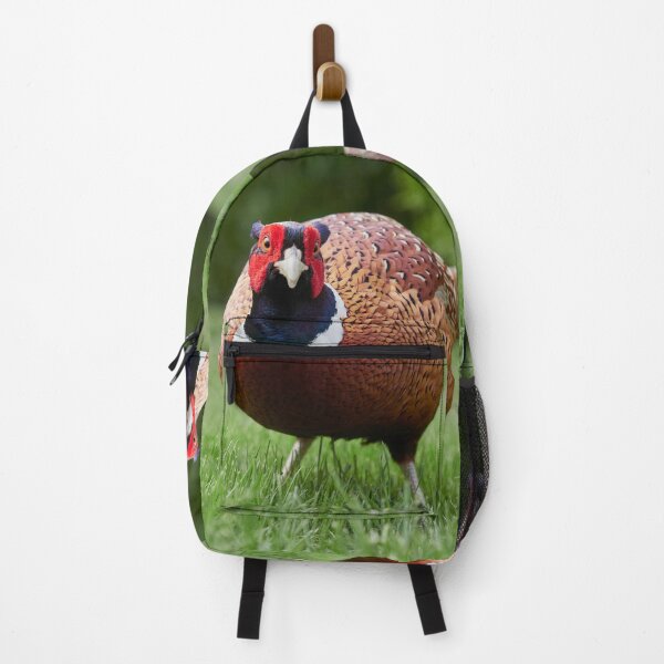 Item preview, Looking down by the nose. Common pheasant designed and sold by Jouko Lehto Photography.
