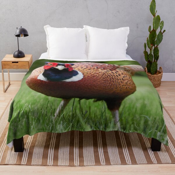 Item preview, Looking down by the nose. Common pheasant designed and sold by Jouko Lehto Photography.