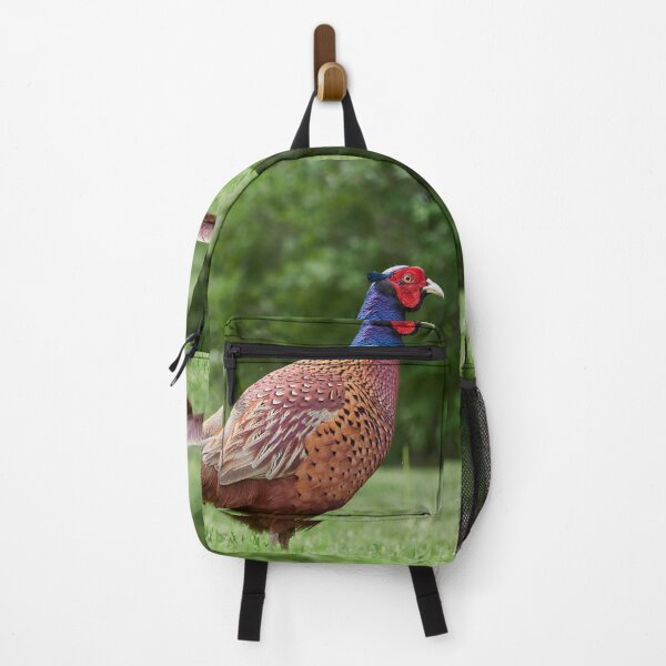 Item preview, King of the backyard. Common pheasant designed and sold by Jouko Lehto Photography.