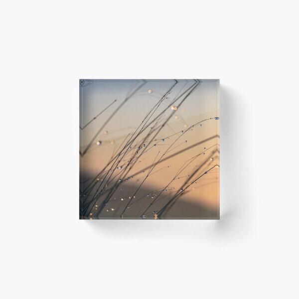Item preview, Early morning sunrise grass dew drops designed and sold by Drawourdestiny ..