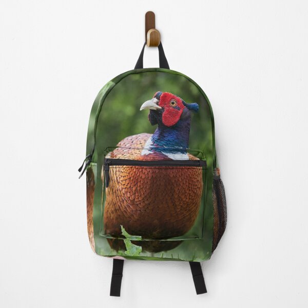 Item preview, Thinking about life and all. Common pheasant designed and sold by Jouko Lehto Photography.
