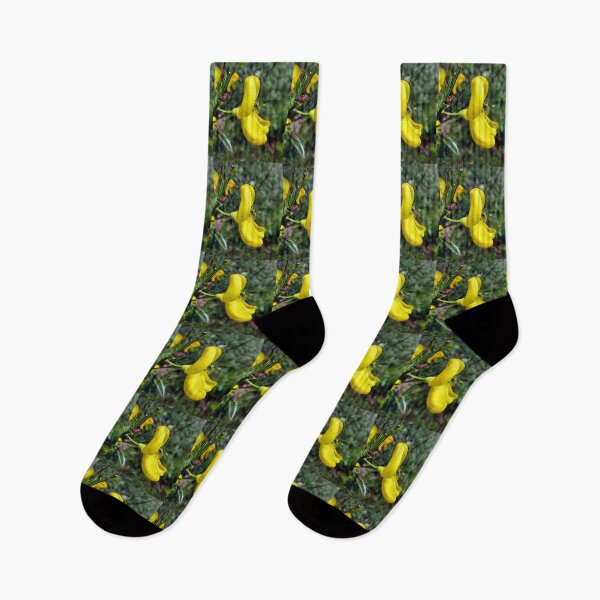 Artikelvorschau, Frühlingsblume entworfen und verkauft von KathleenDawson.