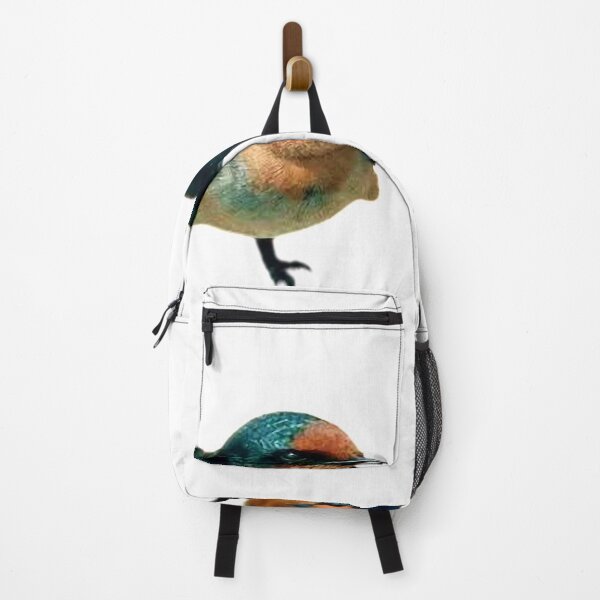 Item preview, Yang Yan (scientific name: Hirundo tahitica) is a bird belonging to the genus Swiftlet, with a body length of about 13 cm designed and sold by zenger2021.