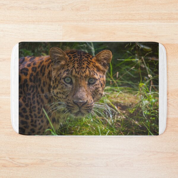 Item preview, Leopard Intense Stare designed and sold by TVD-Photography.
