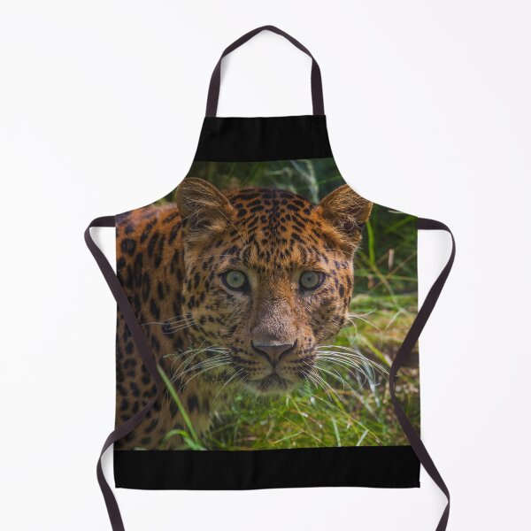 Item preview, Leopard Intense Stare designed and sold by TVD-Photography.