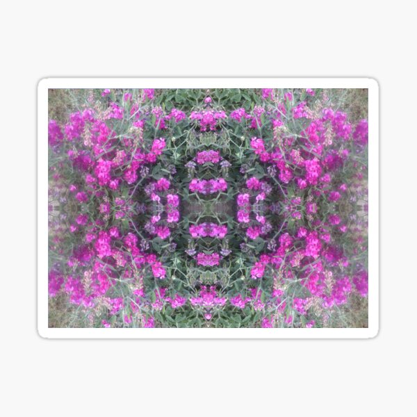 Pink Sweet Pea Flower Fractal Sticker