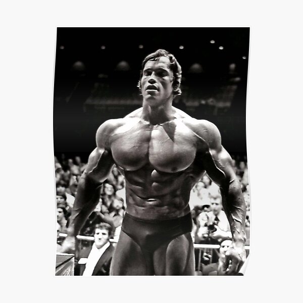 Arnold Schwarzenegger Bodybuilder Poster Print Picture A1 A2 A3 A4 quote 