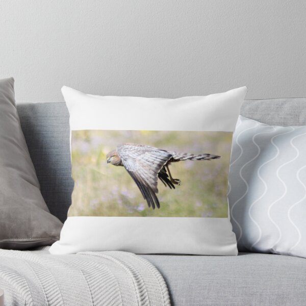 Item preview, Spotted Harrier , designed and sold by Trish Threlfall.