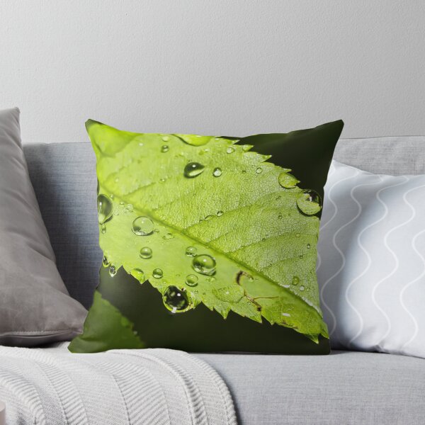 Artikelvorschau, Droplets on a leaf entworfen und verkauft von CarlH2013.
