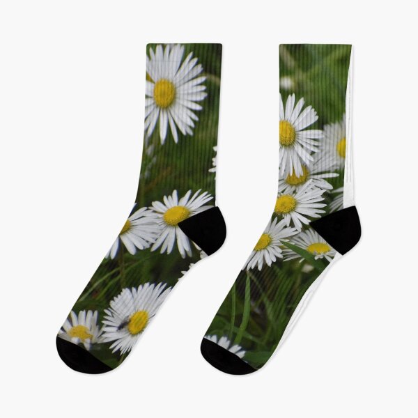 Item preview, Daisies designed and sold by Meggie-moos.