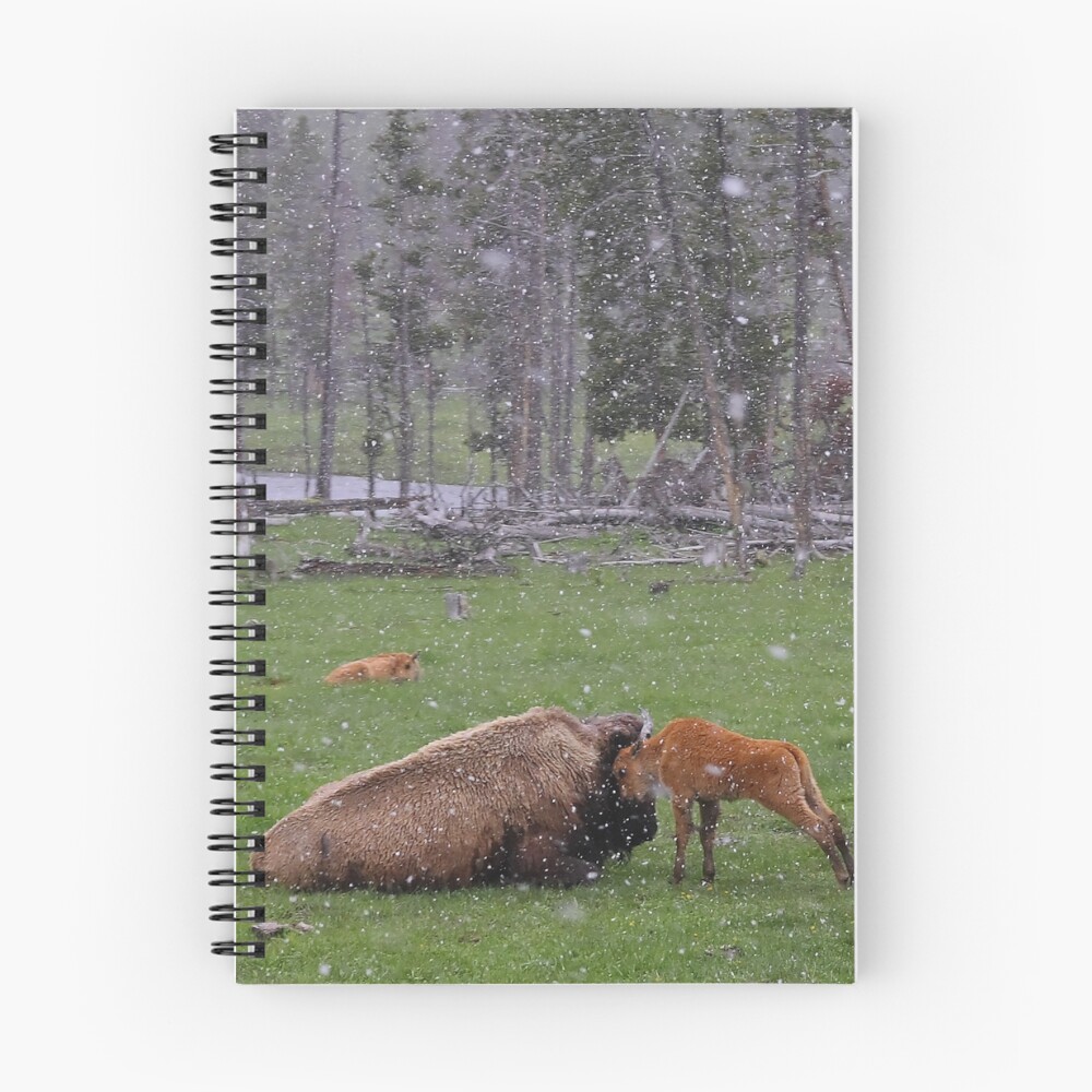 Item preview, Spiral Notebook designed and sold by echoexpression.