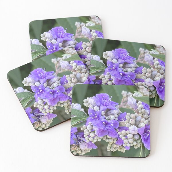 Item preview, Vitex agnus-castus, vitex, chaste tree designed and sold by Ponted.