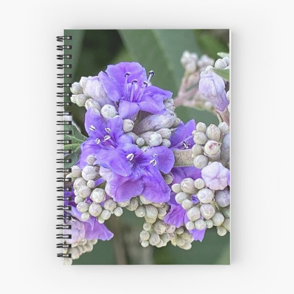 Item preview, Vitex agnus-castus, vitex, chaste tree designed and sold by Ponted.