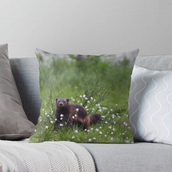 Item preview, Wolverine and hare's-tail cottongrass designed and sold by Jouko Lehto Photography.