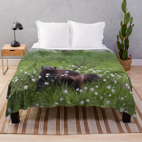 Item preview, Wolverine and hare's-tail cottongrass designed and sold by Jouko Lehto Photography.