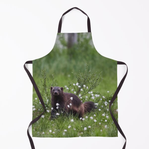 Item preview, Wolverine and hare's-tail cottongrass designed and sold by Jouko Lehto Photography.