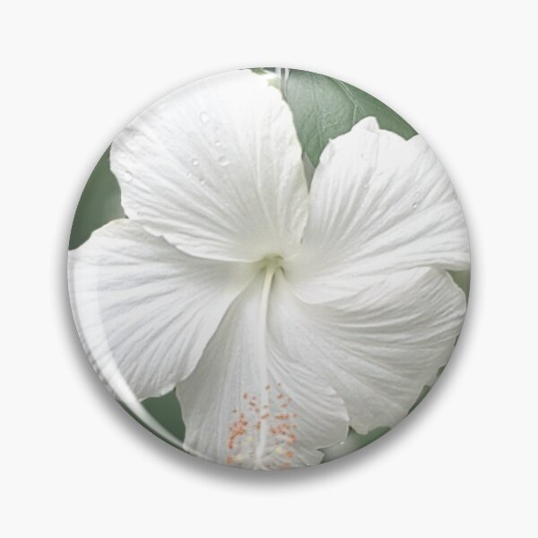 Item preview, Hibiscus flower designed and sold by Fluffycat2020.
