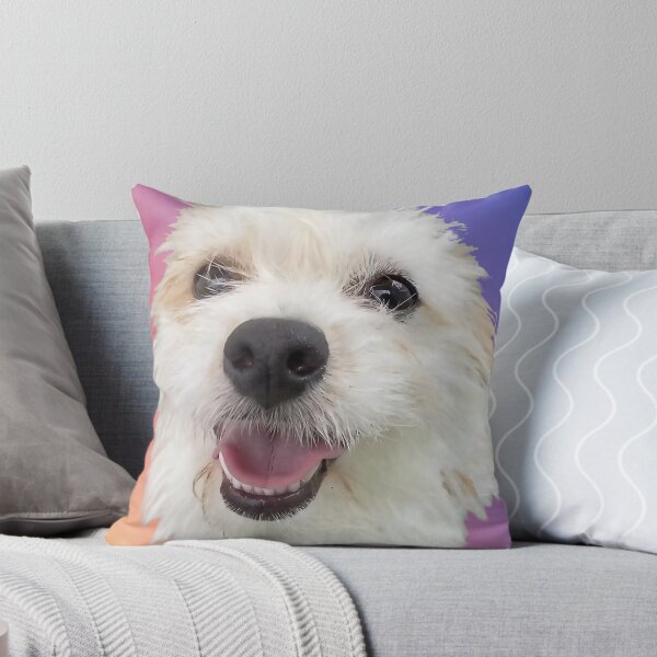 Artikelvorschau, Milly Sonnenaufgang entworfen und verkauft von Jack Russell Rescue Australia.