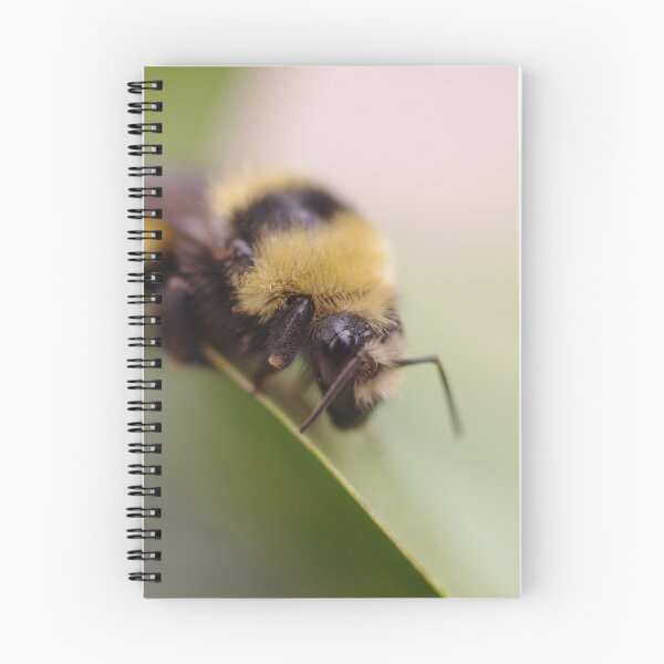 Item preview, A Bee a Crawlin' designed and sold by Doug Cargill.