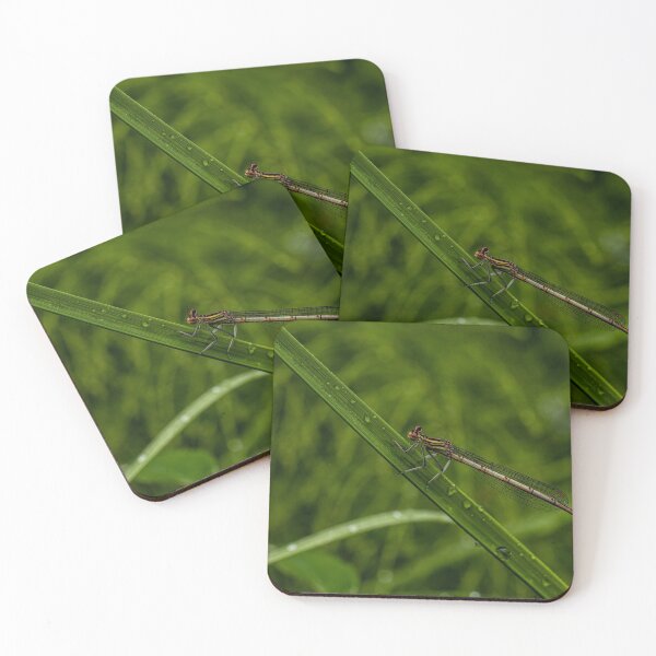 Item preview, Damselfly designed and sold by Veikko  Suikkanen.