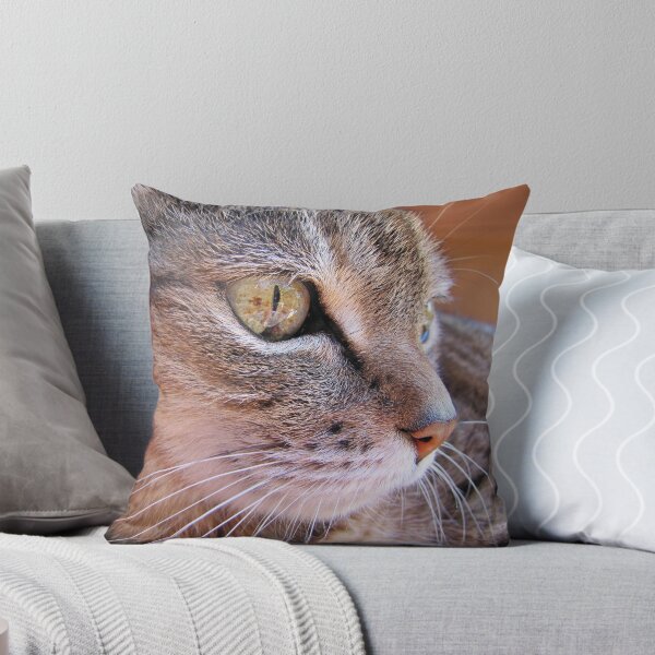 Item preview, Tabby cat profile designed and sold by BiodiversityRocks.