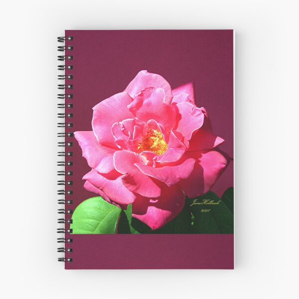 Item preview, Beautiful Pink Rose designed and sold by June Holbrook.