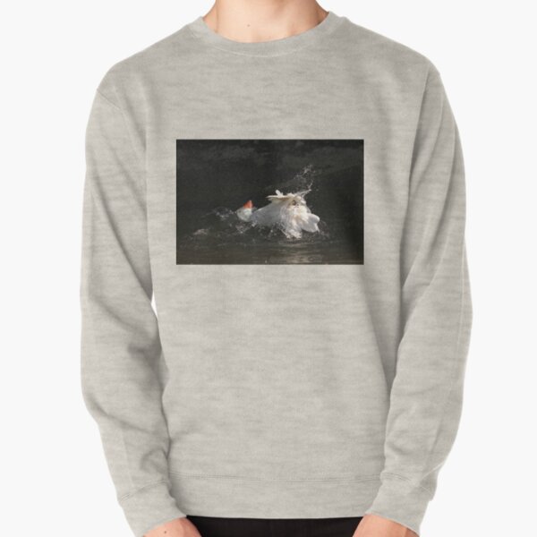 Goose wash Pullover Sweatshirt