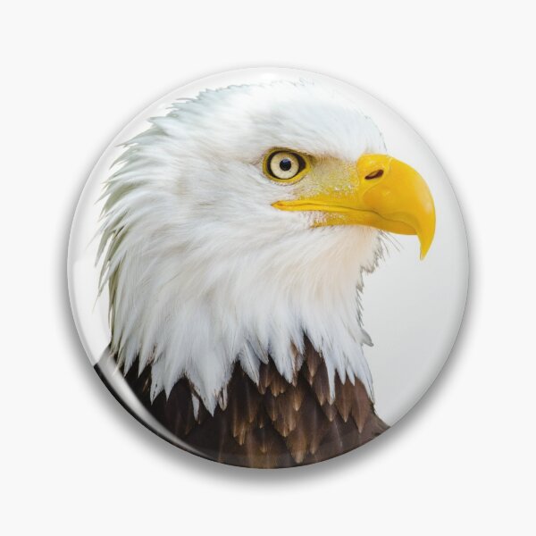 Item preview, Águila designed and sold by Marketbrand.