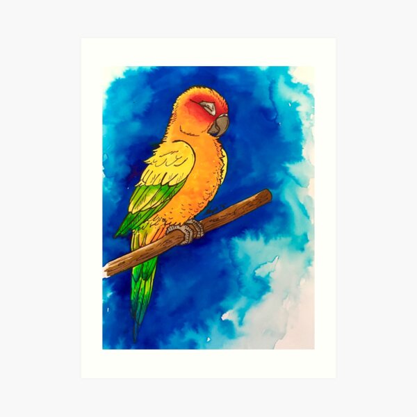Sun-Conure Art Print