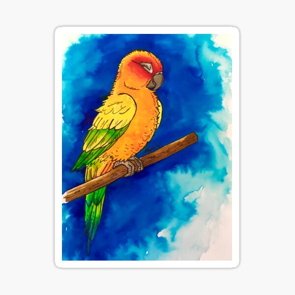 Sun-Conure Sticker