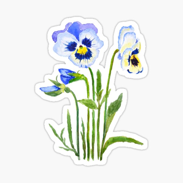 purple pansies watercolor Sticker