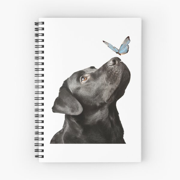 Item preview,  black dog and butterfly designed and sold by Elbruz.