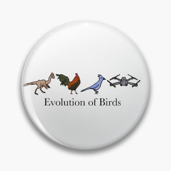 Item preview, Evolution of Birds designed and sold by whitneyb.