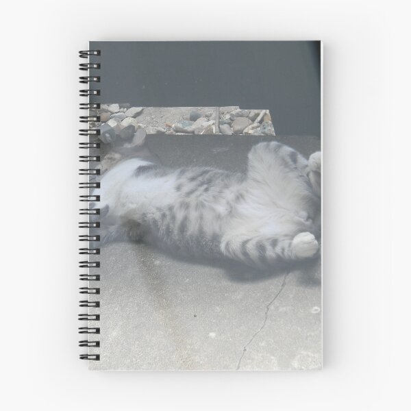 Item preview, Momcat Napping Contendedly designed and sold by Navigator.