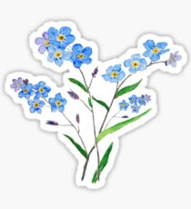 blue forget me not 2 Sticker