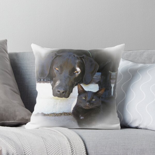 Item preview, Cat and dog buddies designed and sold by BiodiversityRocks.