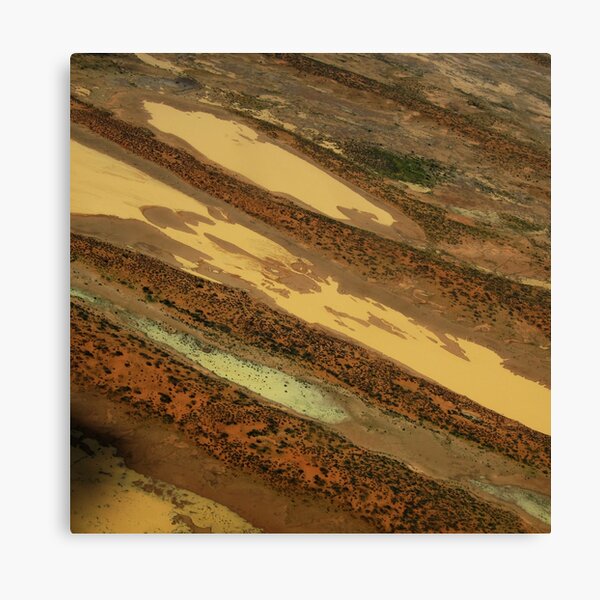 Desert Landscape Canvas Print