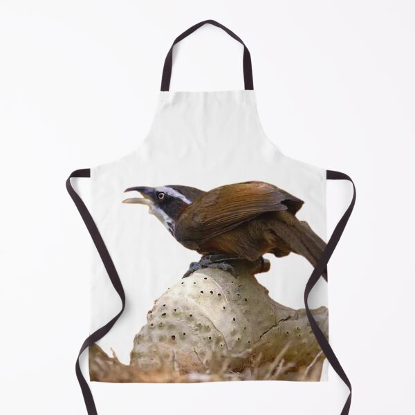 Item preview, White-eye thrush: The body shape is very important to the players. It is an important factor that symbolizes the "facade" of the bird breeder designed and sold by zenger2021.