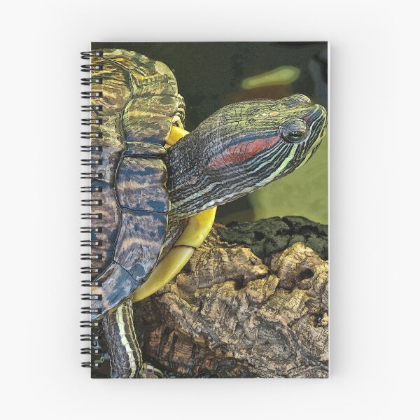 Item preview, slider turtle designed and sold by David Chesluk.