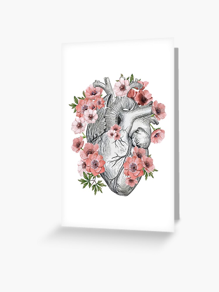 dessins de coeur anatomie