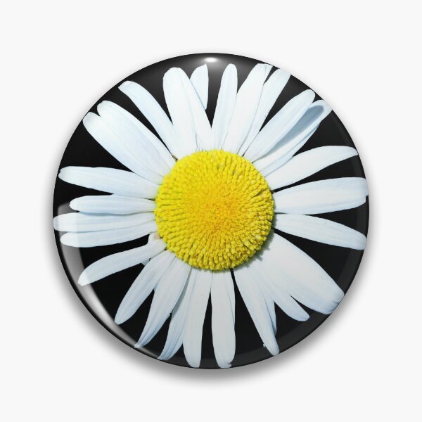 Item preview, Daisy on a black background designed and sold by neil harrison.