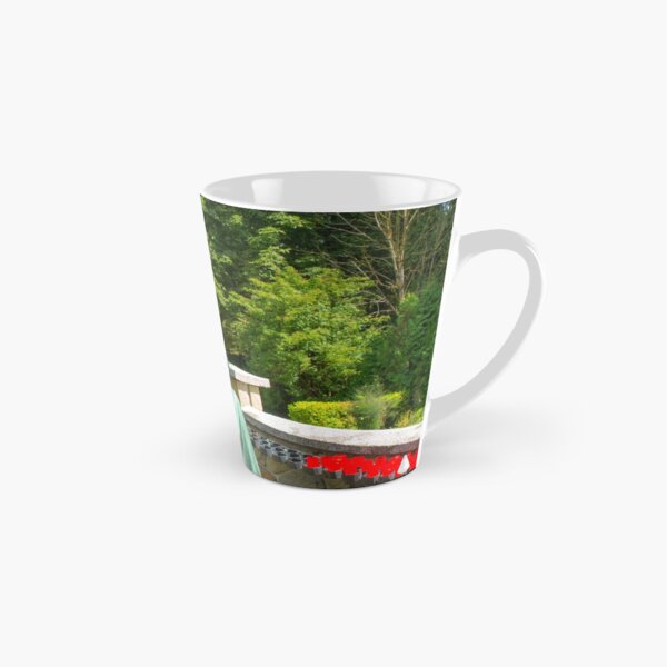 Our Lady of La Salette Tall Mug