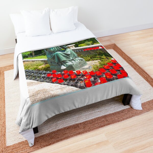 Our Lady of La Salette Comforter